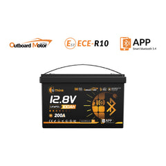 LiThink 12V 100Ah outboard motor LiFePO4 battery