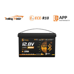 LiThink 12V 100Ah trolling motor LiFePO4 battery