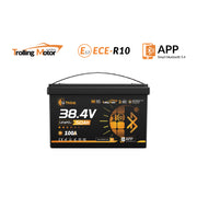 36V 50Ah TM Smart