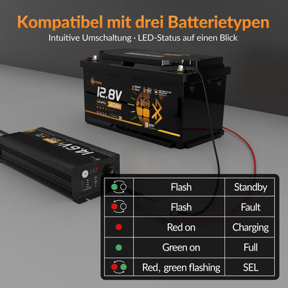 LiThink 14.6V 20A Waterproof Fast Battery Charger — for LiFePO4, NCM & Lead-Acid Batteries