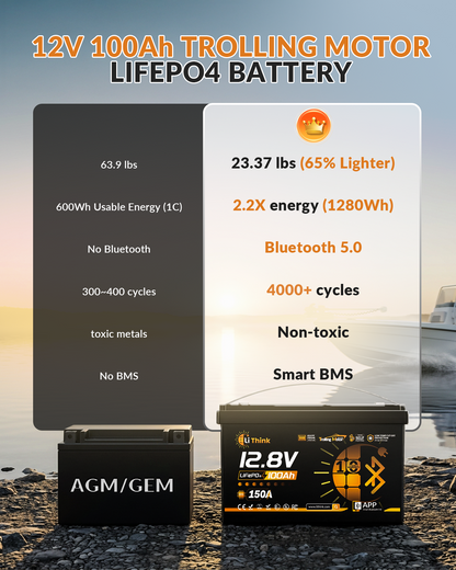 LiThink 12V 100Ah TM BT — product feature 5