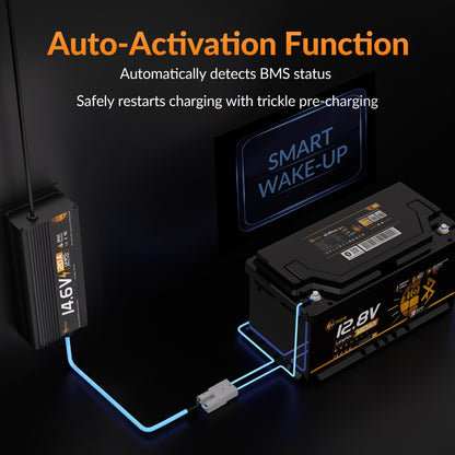 LiThink 12V 20A 充电器 — product feature 2